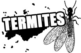 termitecontrol